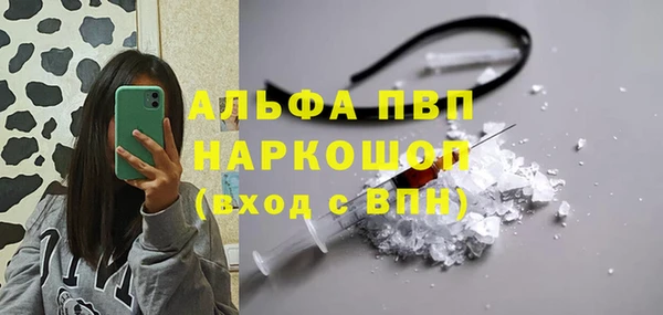 гидропоника Алзамай