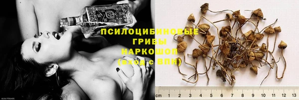 каннабис Абаза