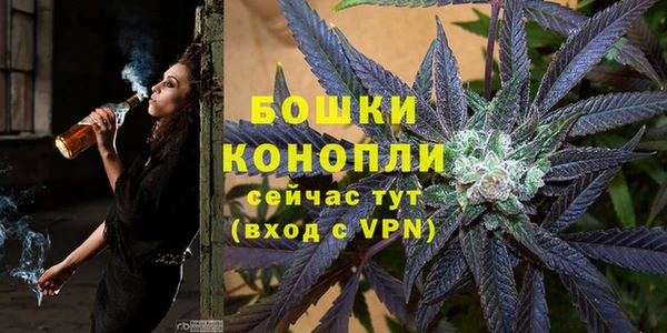 гидропоника Алзамай