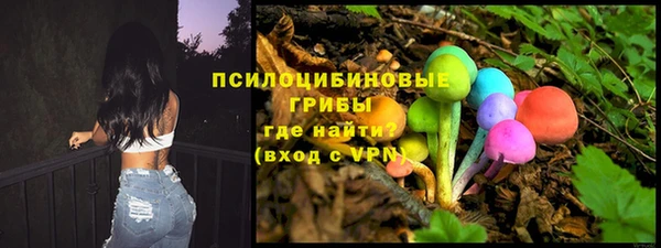 эйфоретик Алексеевка