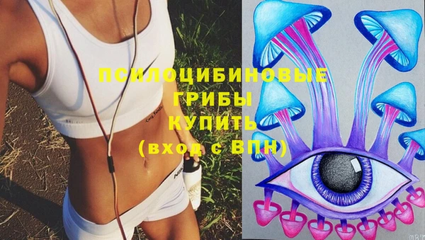 эйфоретик Алексеевка