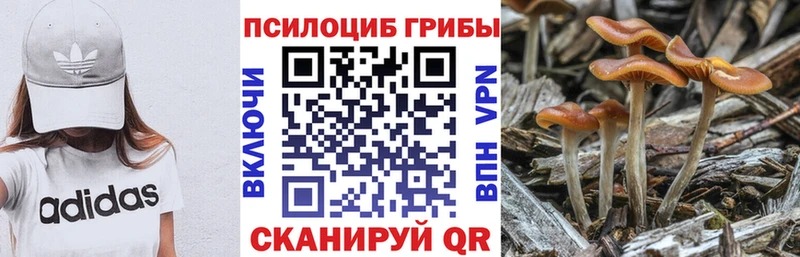 МЕГА ONION  Чегем  Галлюциногенные грибы прущие грибы 